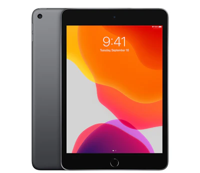 IPAD MINI 5 64GB مستخدم