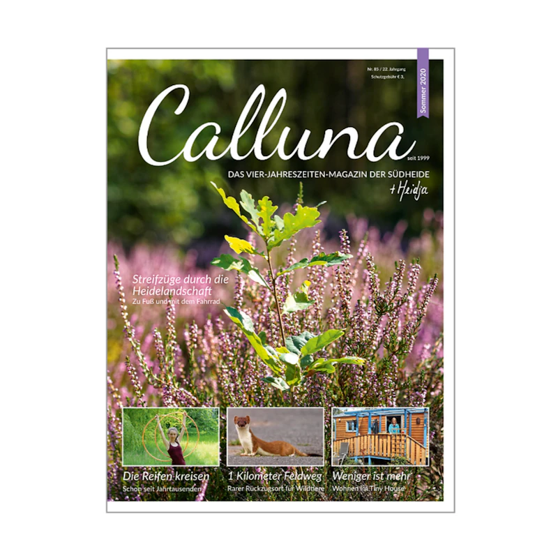 Calluna Sommer 2020