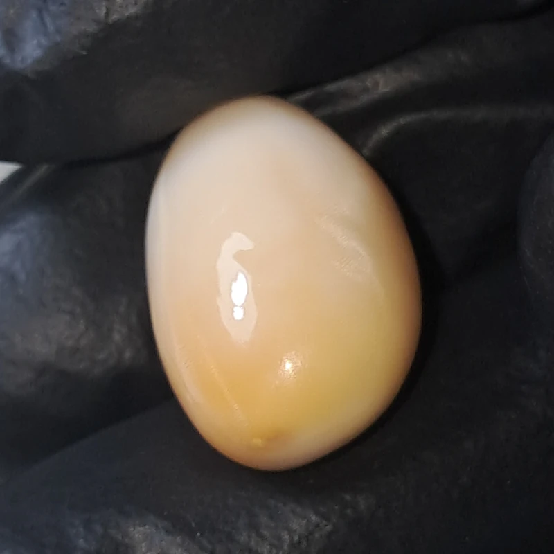 Massive 22.65 carat natural cassis pearl