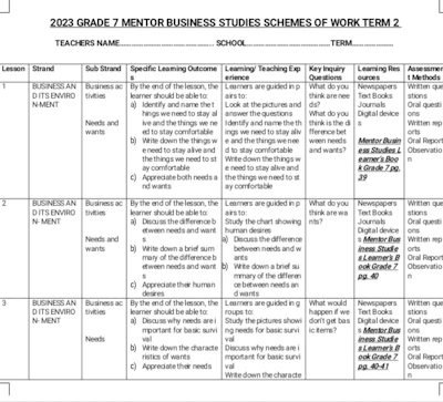 Grade 7 Business schemes of work term 2 